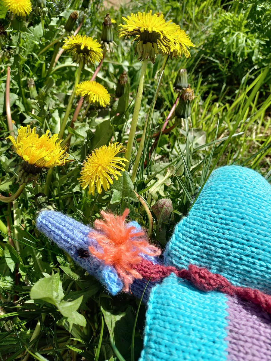 rainey_spinner's tweet photo. A little dragon I made from odds and ends of  wool., a birthday present  for a little granddaughter.  Hope she likes it #Handmadehour #knitting #nopattern https://t.co/zLEqGUbPmO