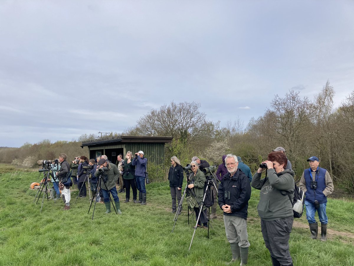 We had the great pleasure of leading a walk for c12 members of the Berkshire Ornithological Club this morning. A large group from the RSPB Guildford & District were also visiting site today. It was standing room only on Horton’s Mound!