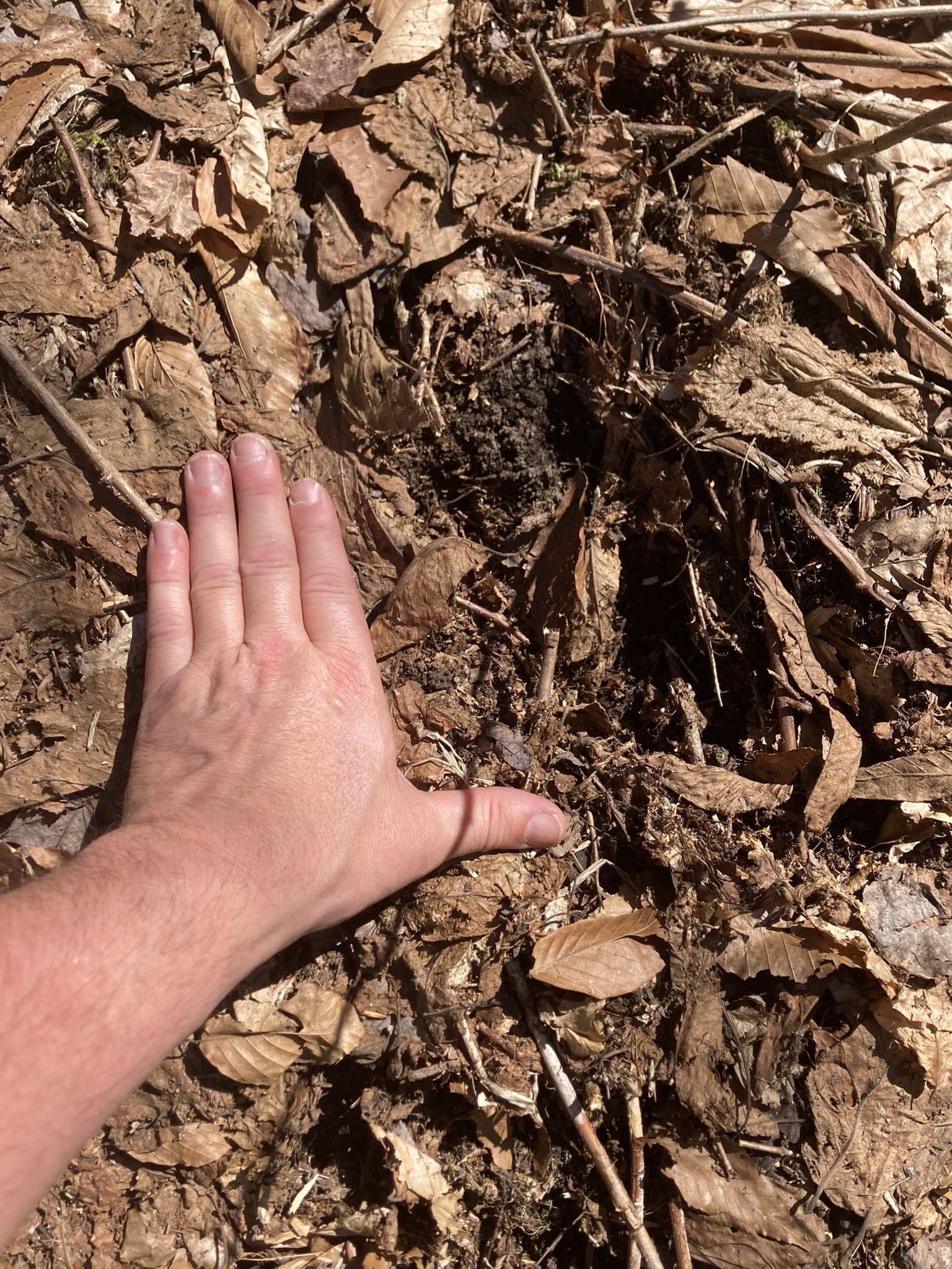 ADK Ranger🌲 on Twitter: 