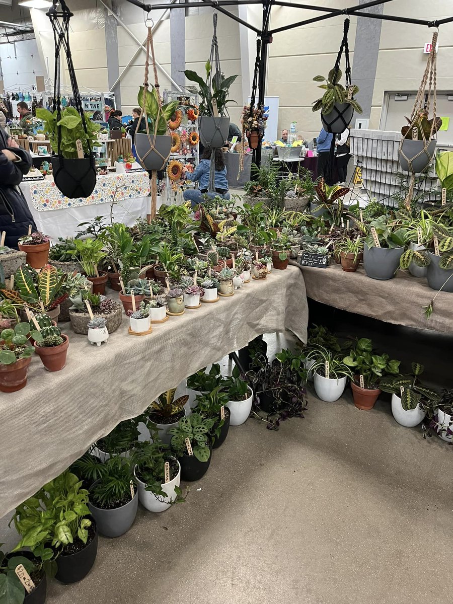 LorieEvents's tweet image. The Spring Craft Show is only TWO WEEKS AWAY! Come shop 270 booths on April 29th 9-3 at the Kalamazoo County Expo Center. We will NOT be charging admission like the other shows! Save that money to use inside the event!
facebook.com/events/4511804…