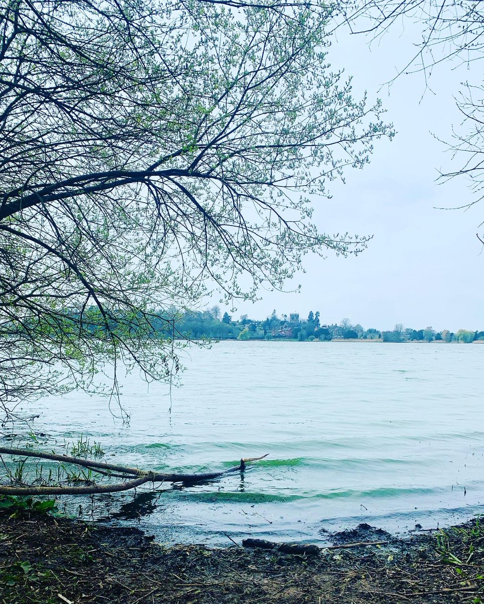 I'm asking those who love the outdoors to post a picture. A picture that YOU took. Just a pic. No description. The goal is to regain peace and harmony without negativity. Please copy the text, put a picture on YOUR page, and let's look at these beautiful pictures. Here's mine. 📷