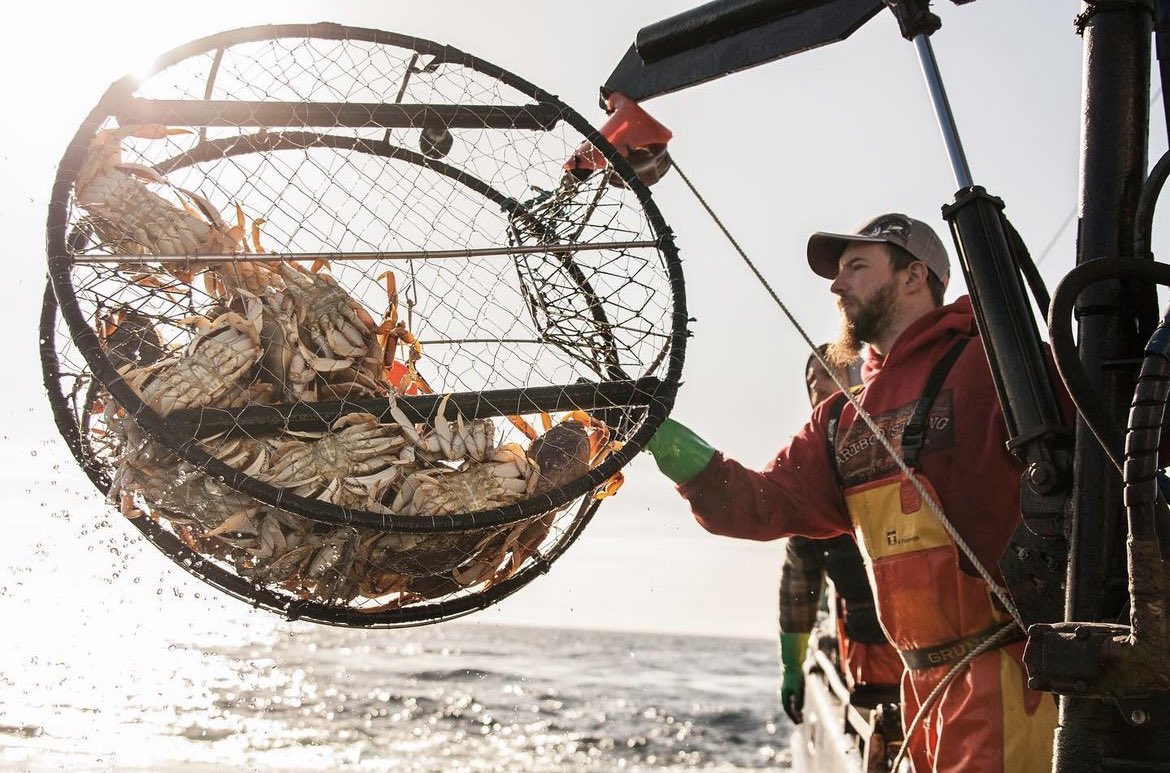 RusticSailor's tweet image. This goes without saying, but I’m going to be preparing the most flavorful of crab cakes… This trip was a great reward for my promotion to Senior SWE, although it did irritate my carpal tunnel…