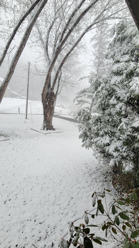 DanBaumgardt's tweet image. Heavy wet snow already accumulating in western WI. Trees in jeopardy. This after 4 days of 82-90F last week.@NWSLaCrosse
#rateDoesIt
#justBeginning
