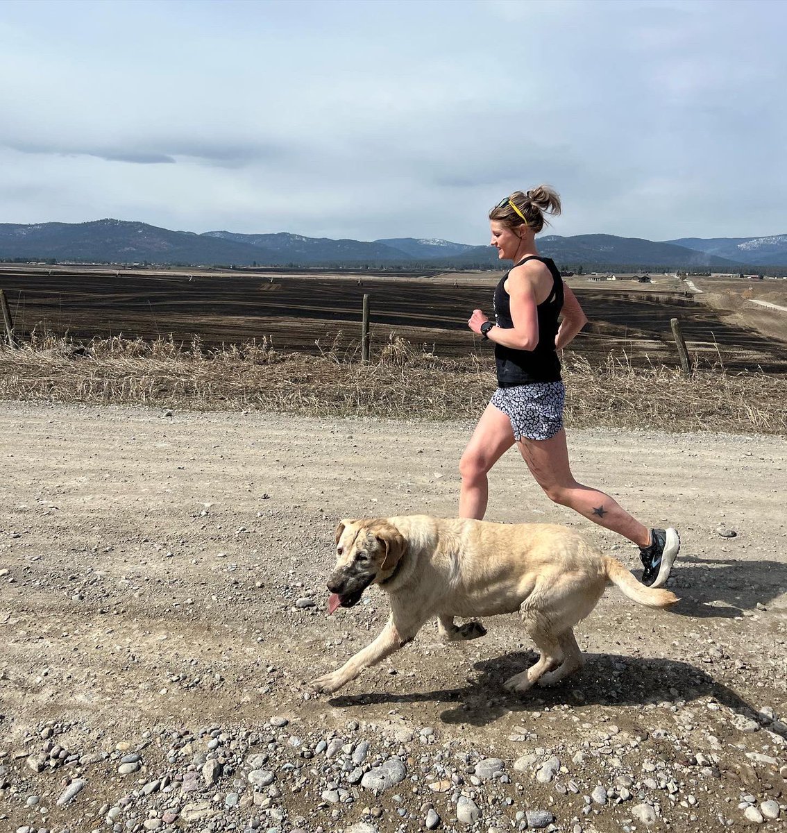 kaeloni_neville's tweet photo. Mud run with Rufus 🐾
#sundayrunday #dogrun #easyrunning #runhappy #runhappyteam #rundog https://t.co/0blurpUBpY