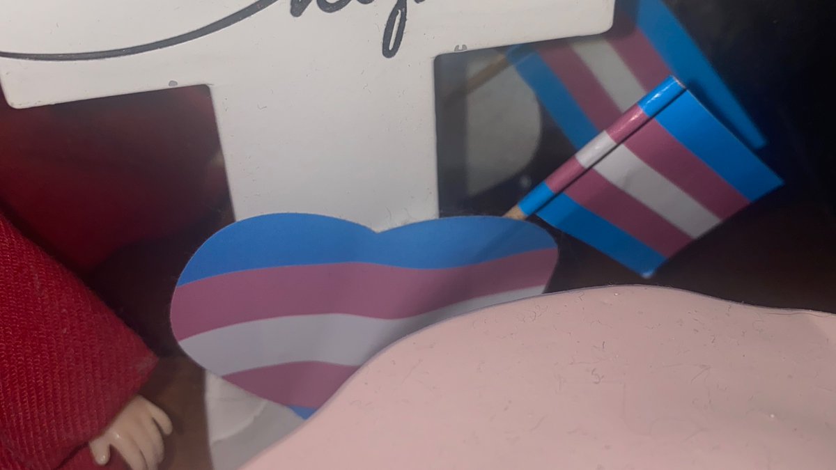 rowanchowder's tweet image. trangener