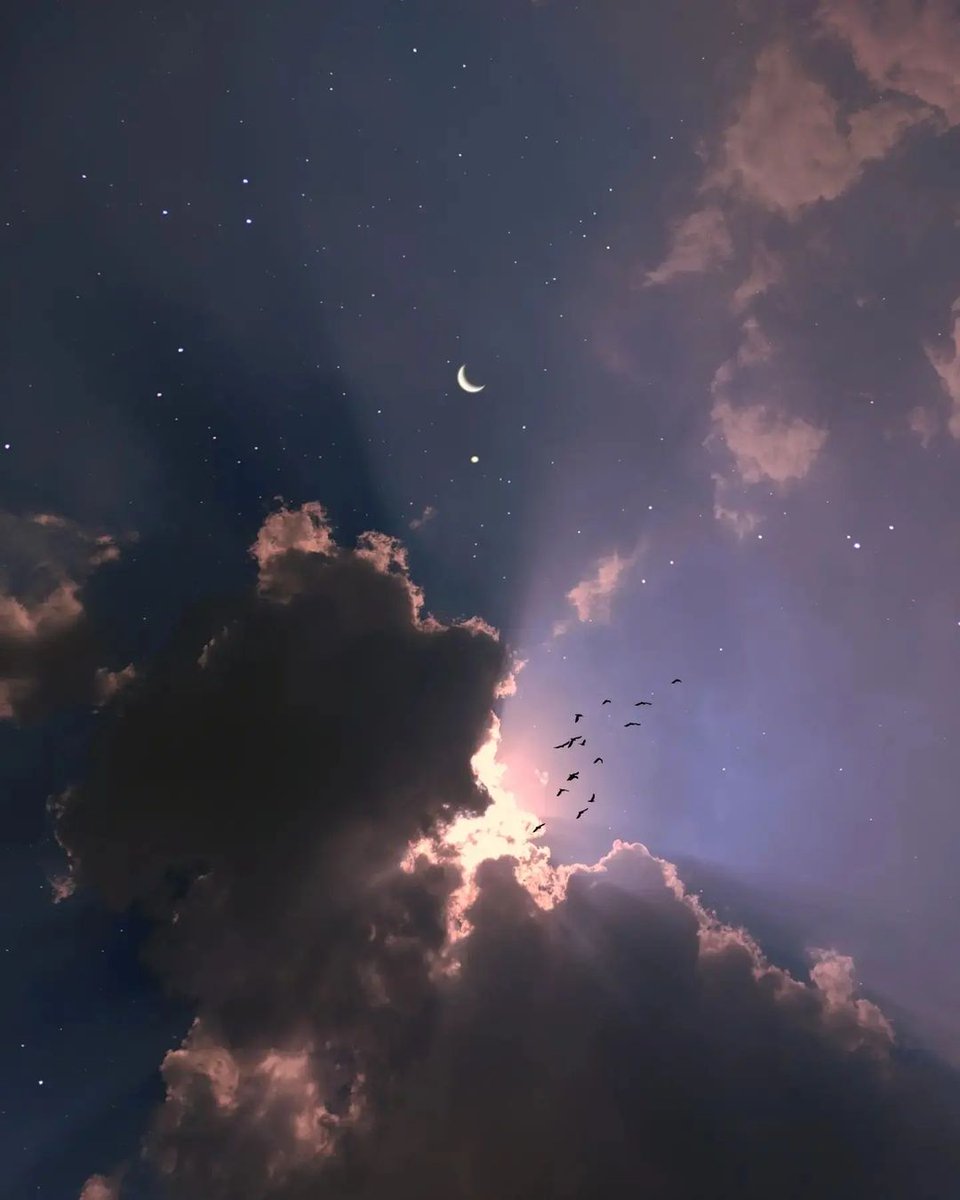MOON tweet media