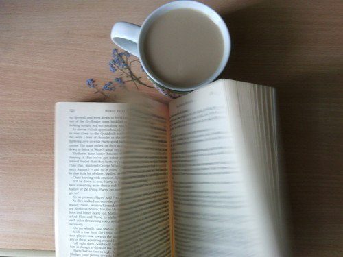 Gnoma (✸,✸) #KOR@ (@ngagnesarr13) on Twitter photo 