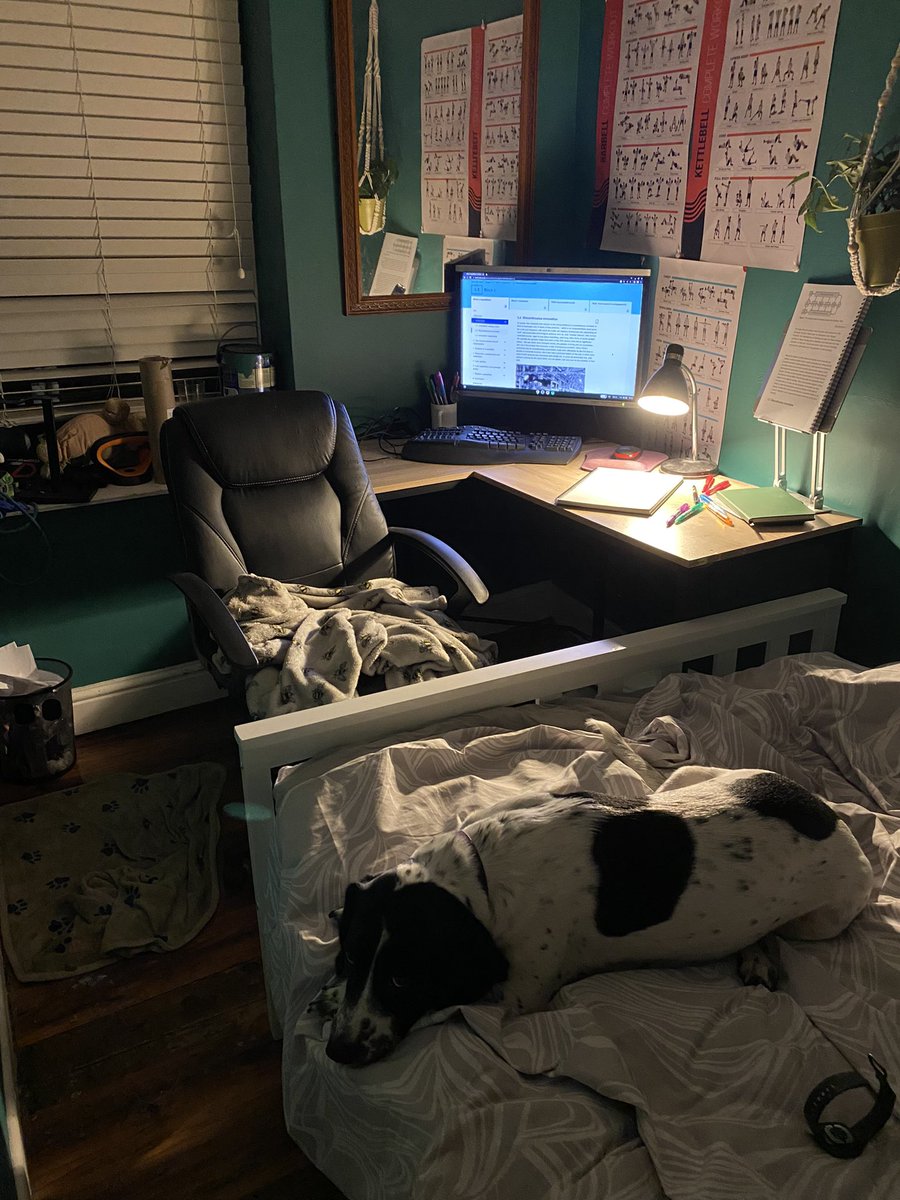 SamOUStudies's tweet image. Since neither of us will be working from home we’ve put in a small double - meaning the desk is in the corner. But working there tonight it’s quite a cosy corner and I can ignore the world

Only doing short stints at the moment to get back used to studying whilst working