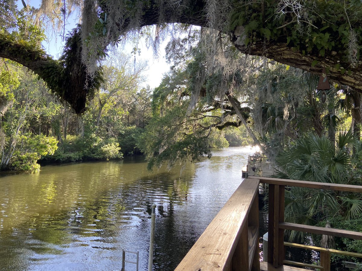 UmphRager's tweet image. Just hangin on the deck in fl 🐊