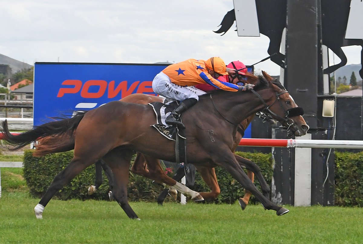 KarakaChat's tweet photo. #FierceFlight (Flying Artie) was victorious in the Hawke's Bay Cup 🏆
Bought by Te Akau Racing’s David Ellis for $45,000 from the 2020 RTR Sale, Fierce Flight has now had 16 starts for five wins, three placings & $128,255 in prize-money 🎉
READ📰:https://t.co/IhGAKiozlF https://t.co/ZQvrVcHd3Q