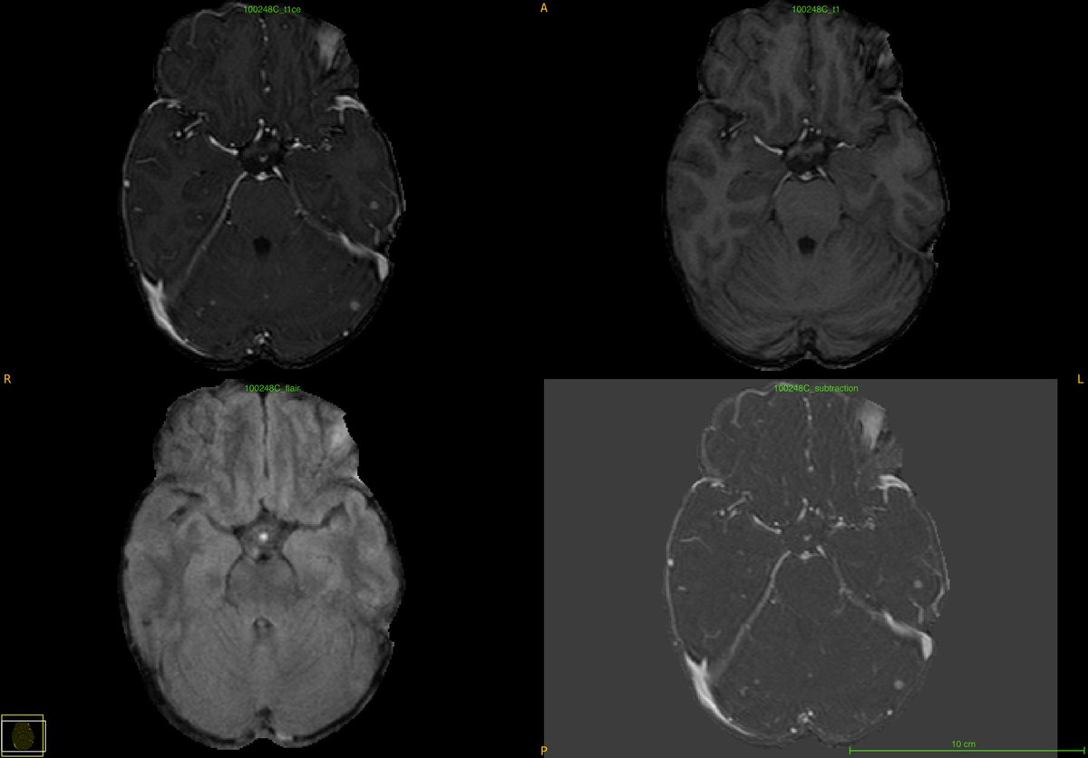 Anastasia Janas tweet media