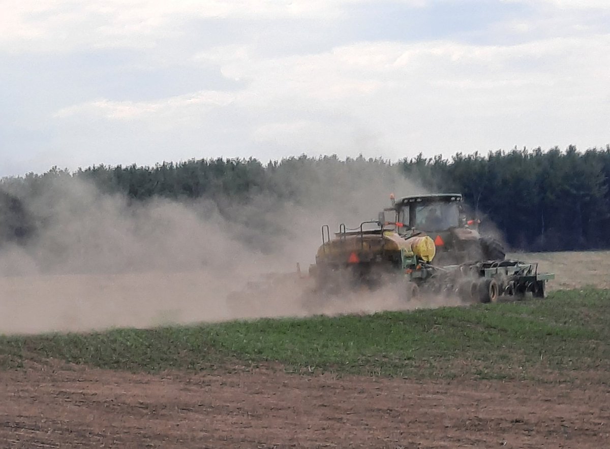 No tilling alfalfa into a rye covercrop ( experiment for me). It sure is dry out there.