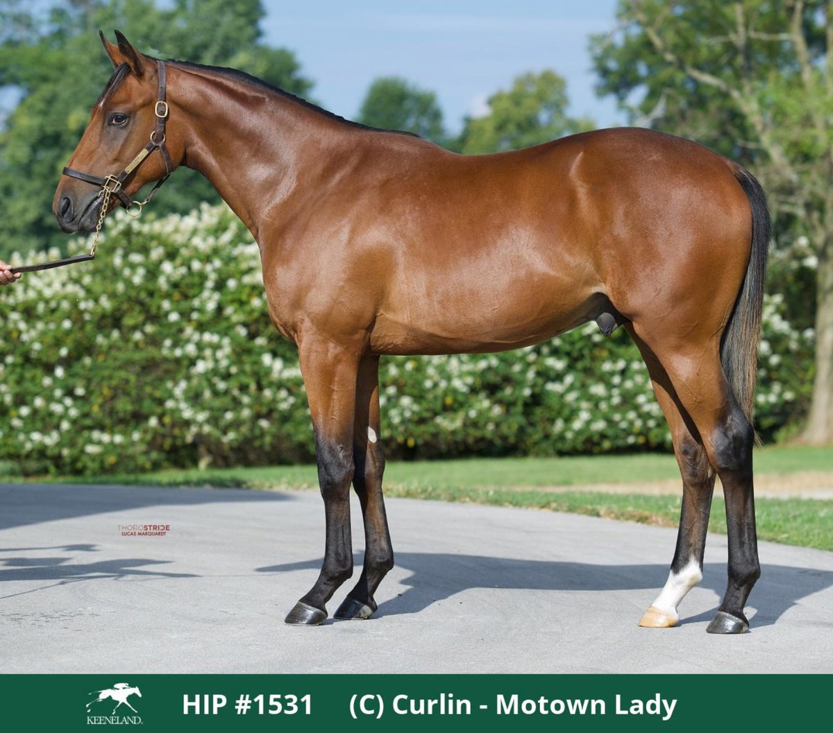 Kathie Roller-Stell tweet media