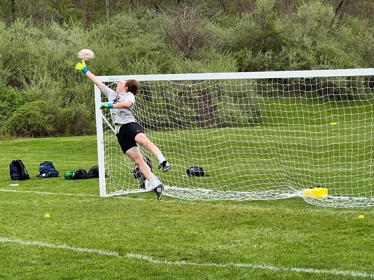 Once again we are proud to partner with Dan Gaspar and Star Goalkeeper Academy to provide goalkeeper training.

Training will take place Wednesday evenings at Kronenberger Field. The first session for the season will be on 4/19…
​
U9 - U11: 5PM - 6PM
U12 and Above: 6PM - 7PM