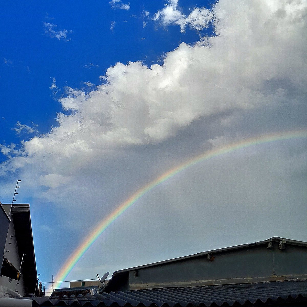 edusilveira76's tweet photo. Da janela, observar o arco-íris, não tem preço! Belezas naturais me encantam!
#ceuazul #bluesky #rainbow #arcoiris #belezanatural #instaphoto #meuplaneta #instarainbow #instafoto #nature #naturephotography #meencanta #dajanela #nuvens #wonderful #admirando #nãotempreço https://t.co/jx31niV74H