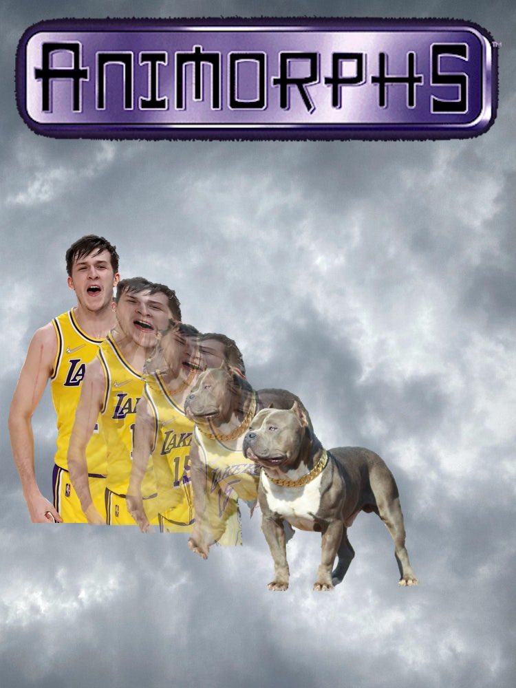 Ramin.eth.ada.wtf tweet media