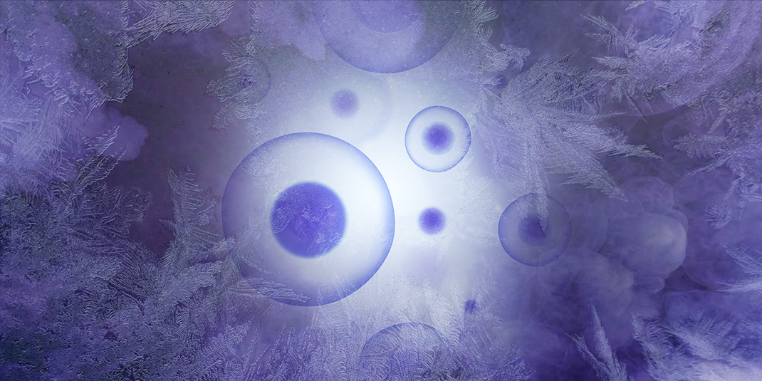 biobankingcom's tweet photo. #Cryopreservation extends the viability of #cells by cooling them to extremely low #temperatures and thus keeping them in a safe, #biochemically inactive state.
Learn more: https://t.co/E3AawCarOT
#Preservation #Biobank #research #genomics #storage #cryobiology @AzentaSciences https://t.co/nCA4eyEWSL