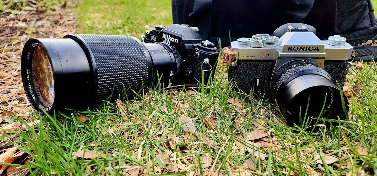 NegativeGrain's tweet photo. Spring time is here. Time to bring out the cameras. https://t.co/2W13kIf1Zf