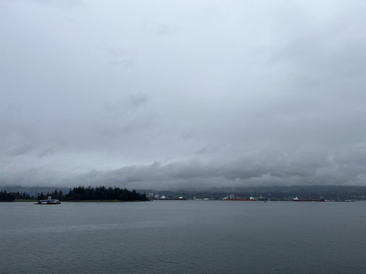 Rodolfo Rosini ✨🖥️ tweet media