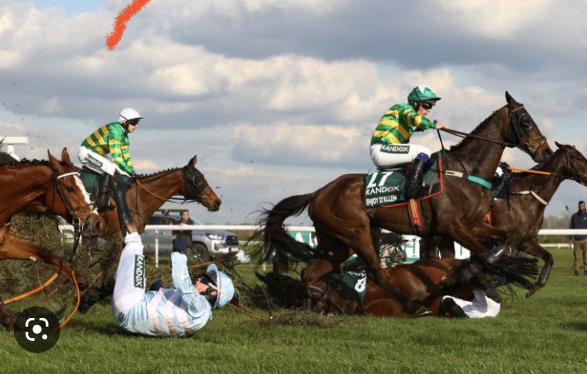 So according to @BBCOne @BBCNewsAt10 the @BHAHorseracing roundly condemns the protesters from @AnimalRising at the #GrandNationalDisgrace and calls them ‘reckless’ . Yep , not reckless to kill horses though it seems as they launch ‘an investigation’ into the fatalities . . .