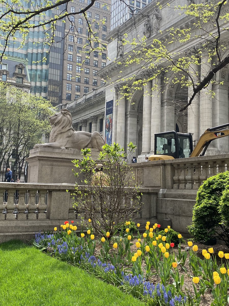 CityStitchette's tweet photo. Tulips are making their entrance all over the city now.
.
#NYCpubliclibrary https://t.co/ZXXvXSuqee