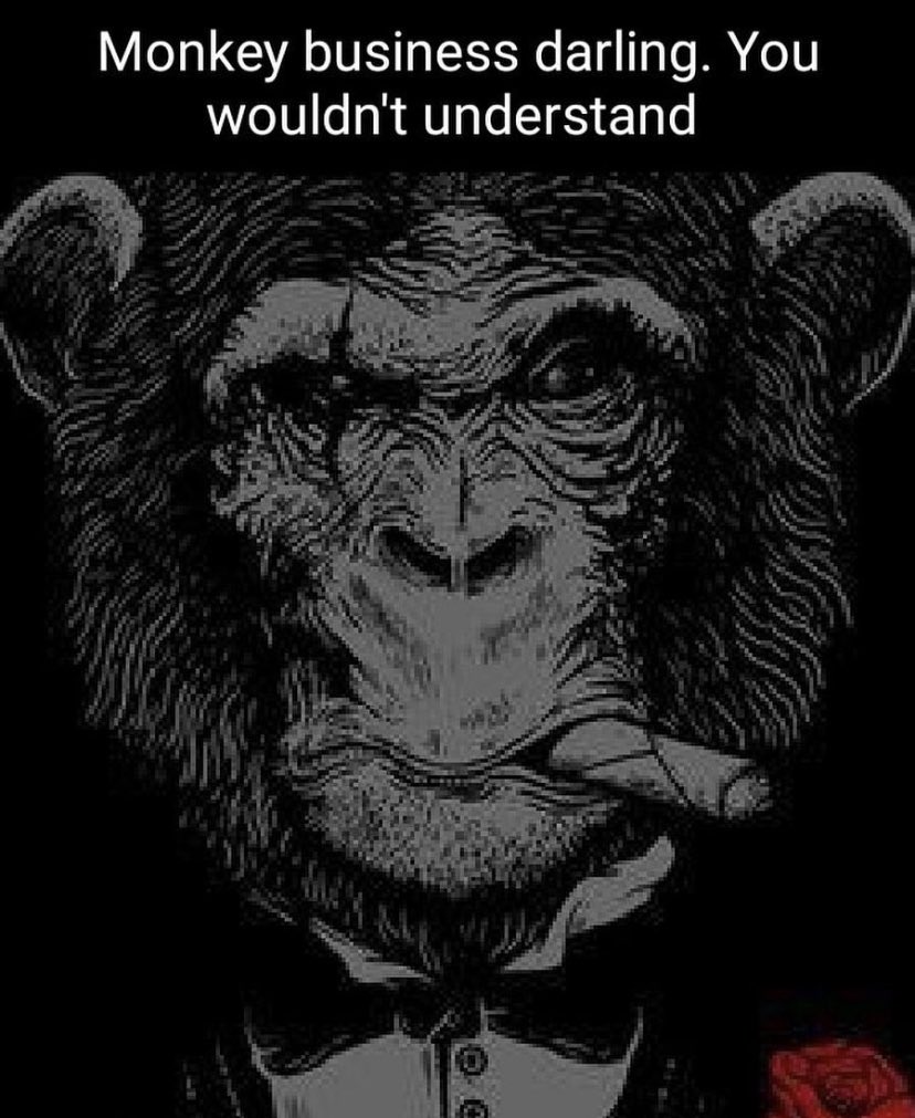 MonkeBetter tweet picture