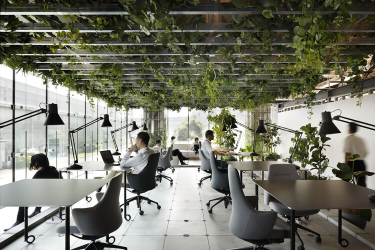 Did you know employees are 15% more productive and creative when their workplace has houseplants? 

#biophilicdesign #houseplants #productivity #creativity #lifeafterlife #sustainability #sustainableliving #greenliving #greenworkspace #parksforlife #webuildparks #greenspace