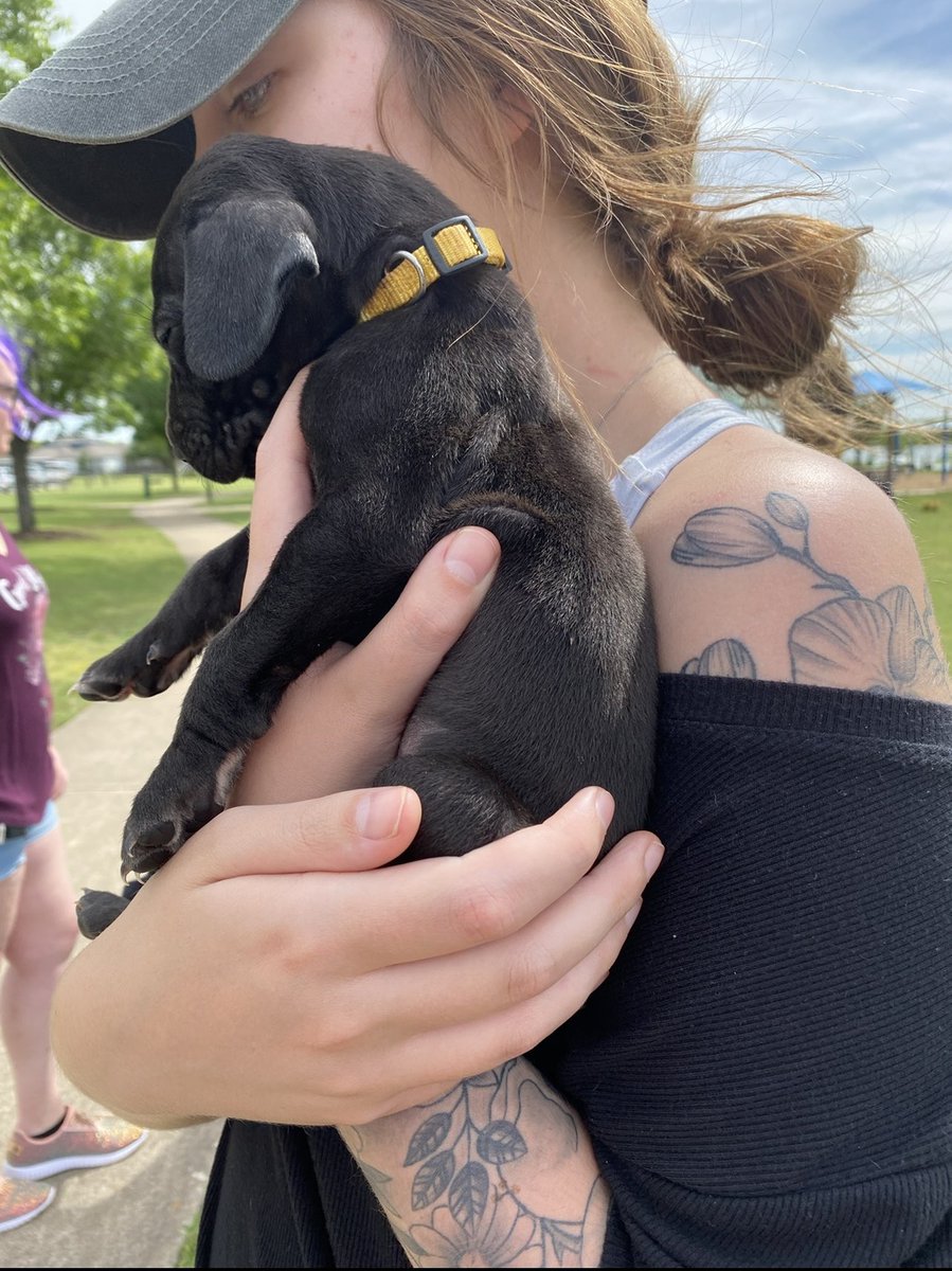 lordkatieee's tweet photo. happy third birthday to the bestest boy 🖤 https://t.co/td05XEt5xT