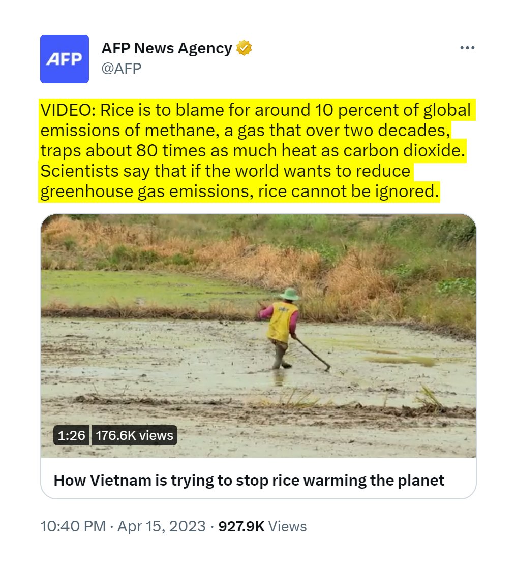 KanekoaTheGreat on Twitter: 