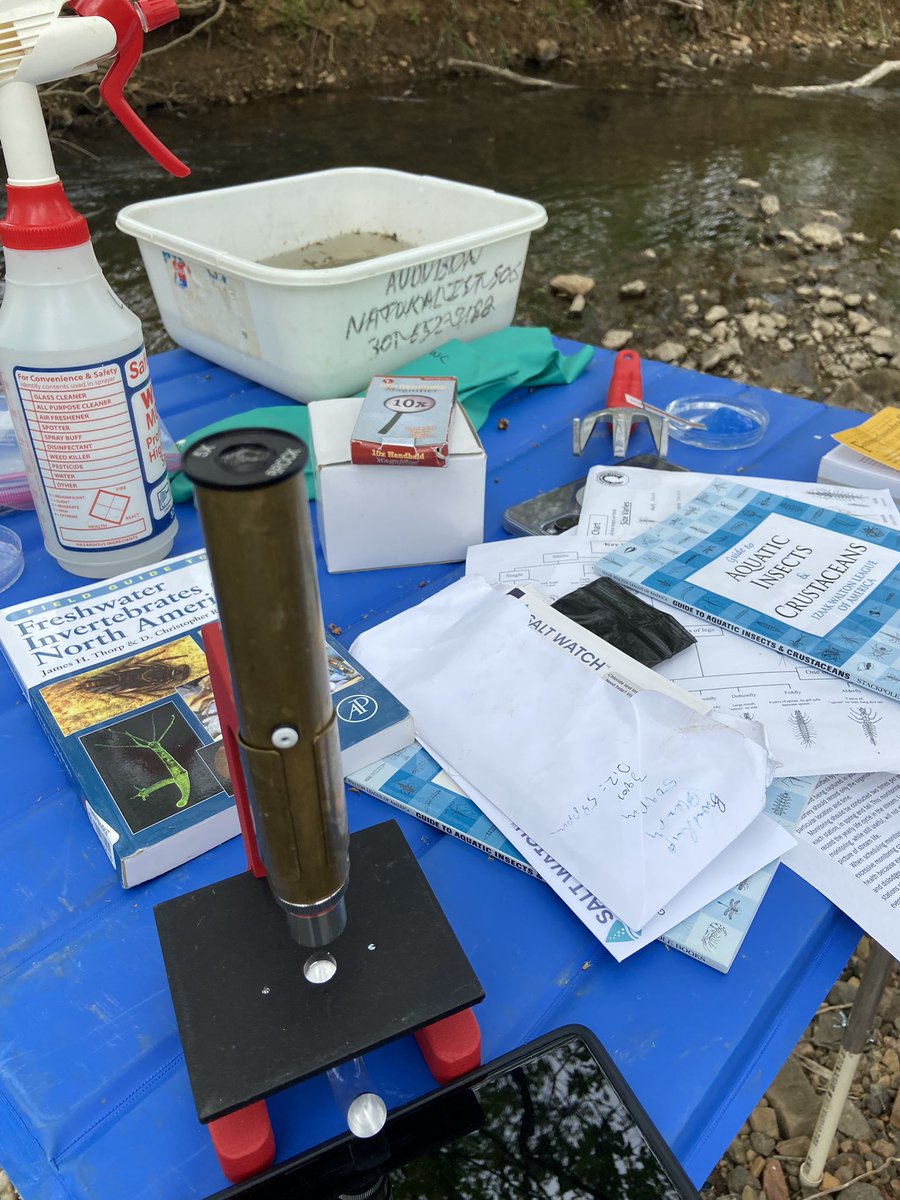 MrsAallday's tweet image. Got to meet and identify many crawly friends in a Tuscarora stream. Amy, of @loudounwildlife taught me lots at a stream monitoring session. @SRMS_Official, we're taking our classification unit to the stream! Also, this is me-time for this mama. #streamsnotspas #imadethatup