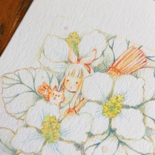 sabi_gara's tweet photo. ひょっこり🐱😯 https://t.co/IKjWhGE6IK