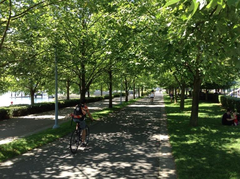 Did you know that when the canopies of trees grow enough to touch over a street or sidewalk, that’s often nick-named a “kissing canopy?” It creates a beautiful, comfortable &amp; cool street condition, but it ONLY happens when the right decisions are made. #StreetsAreBetterWithTrees