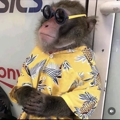 #NuovaFotoProfilo