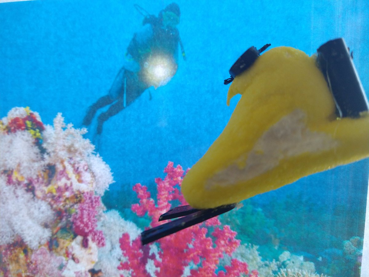pacificsummer's tweet photo. Nick &amp; I have been making peeps dioramas for Easter the last few years... first they skied, then rafted, then mountain biked. This year they scuba dived! #peepshow #peeps #easter #scubadiving

(Travel schedules and tag teaming the peep prep made the post a week late) https://t.co/02UYxBdZZy