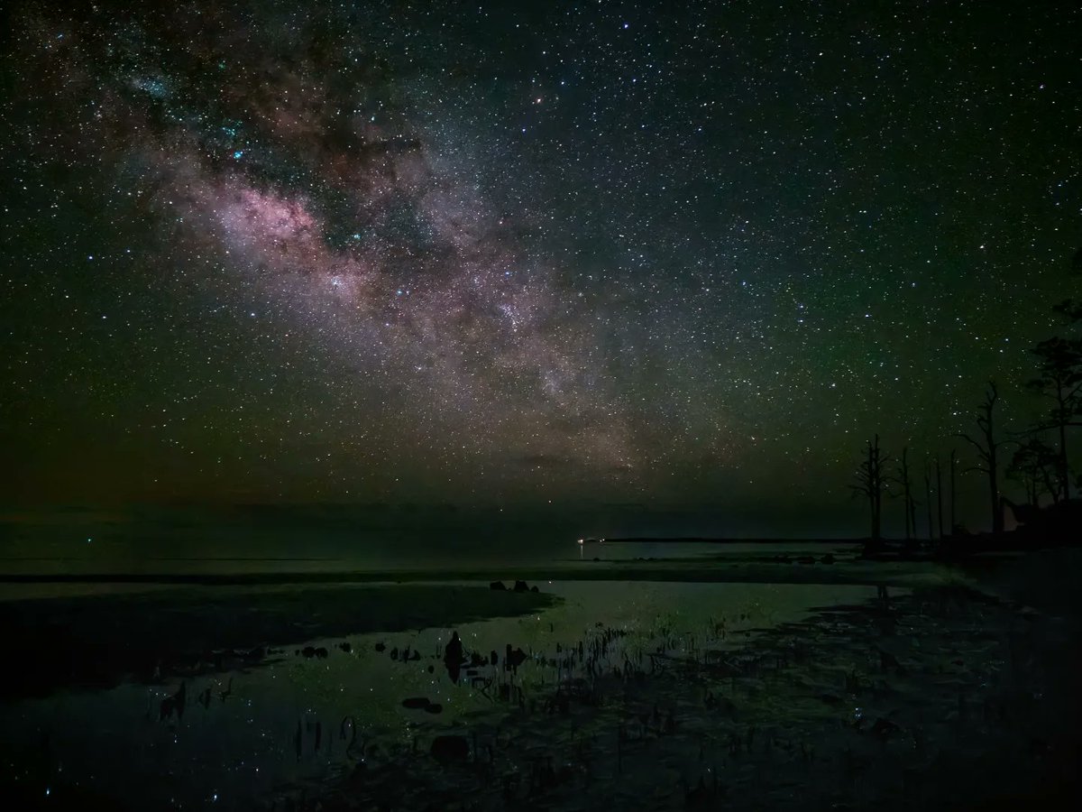 HerpJesus's tweet photo. Milky Way rising over Florida's Forgotten Coast, shot with a Samsung S23 Ultra. #Samsung #Astrophotography https://t.co/fToivX1L8m