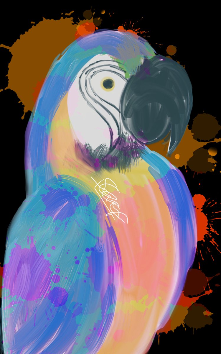 SailaraNR's tweet photo. 🦜🎨 https://t.co/12WqEr329t