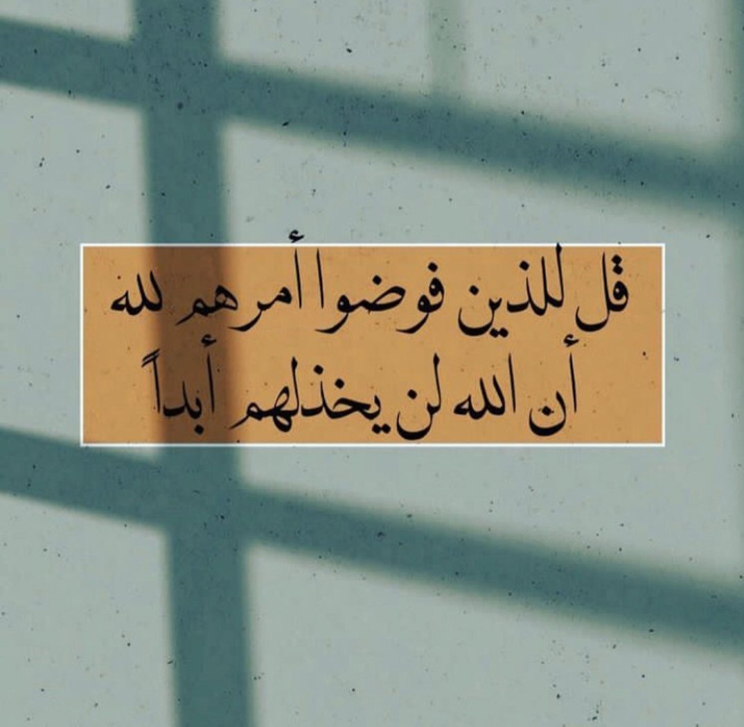 anaaktb1's tweet photo. حكمة ٣١٥ https://t.co/x7ZmPVXU7G