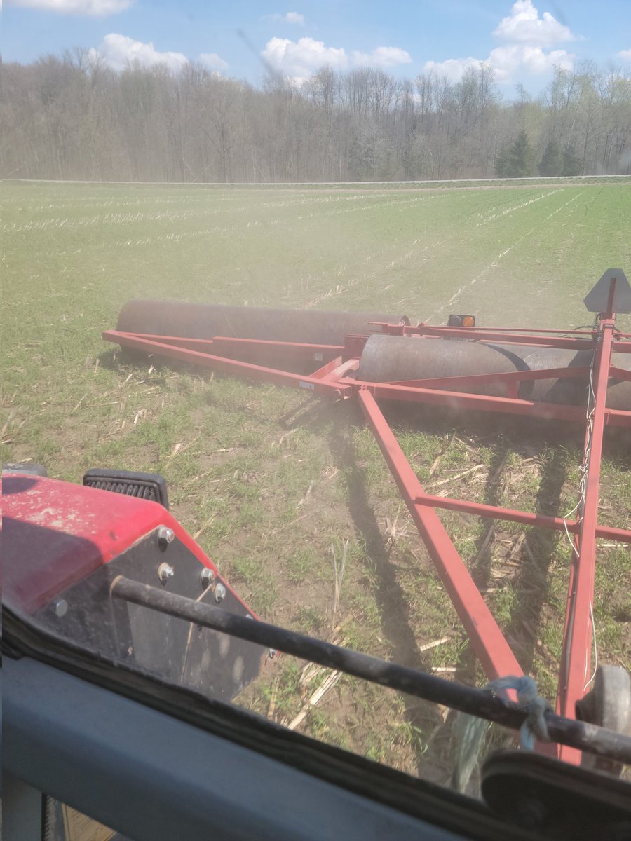 Just busy here on this beautiful day. Just out growing some rolled oats today.