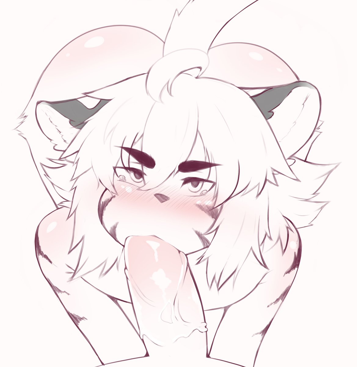 _MrGolla_'s tweet photo. Tiny boy gonna bite you https://t.co/PhSDQt7C7w