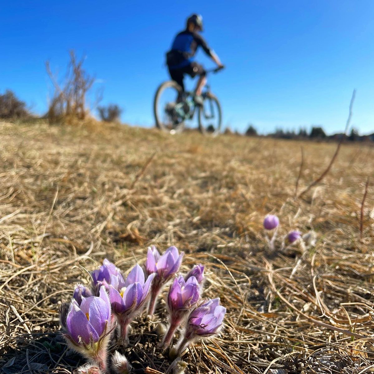 Tyler Dixon tweet media