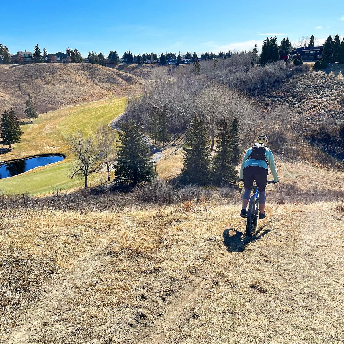 Tyler Dixon tweet media