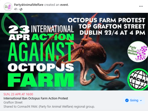AnimalPartyIE's tweet photo. 23 April Internation Action Against Octopus Farm,  With all sister Animal Rights and Animal Welfare parties World wide, coordinated at the same time.
Date: Sunday April 23rd 2023 at 4 PM until 5 PM
Place: Top of Grafton Street facing St Stephens Green.
#SaveOctopus
@PartidoPACMA https://t.co/dQdBwIYvTR
