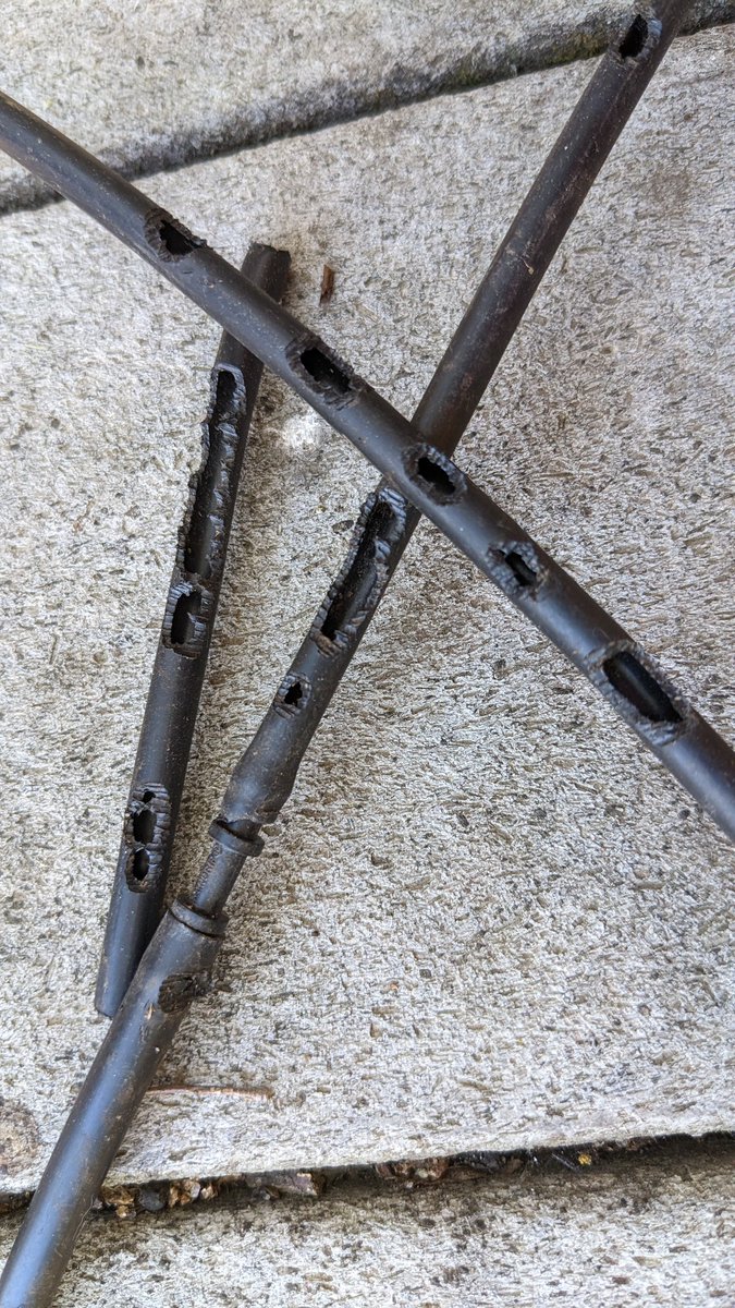 Drip irrigation, more like flood irrigation after rats get their teeth into it.