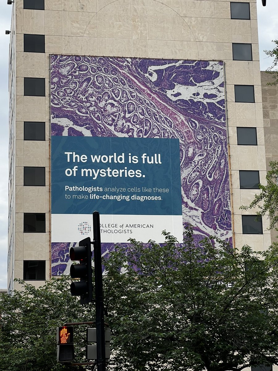 The world is full of mysteries and we do make life-changing diagnoses analyzing cells!! 

#SeeThePath23 #PathTwitter #CAPnow #pathology