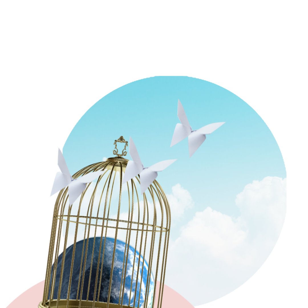 #Chiara n.23 | Libertà - mailchi.mp/pianoc.it/chia…