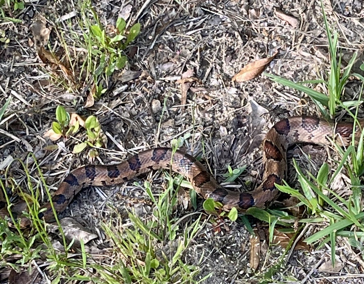 Steve Whitaker tweet media