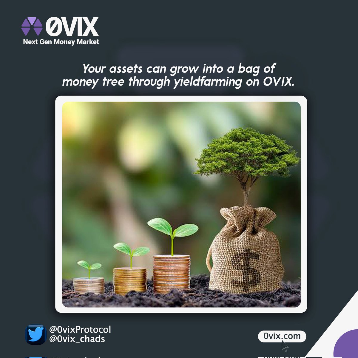 mhaanokay's tweet photo. Even better now that #0VIX is live on #zkEVM.
Go check: https://t.co/SvRPSfJoH6 โ๏ธ
#DeFi #Polygon #OVIX #zkDeFi https://t.co/jsC7nqesqS