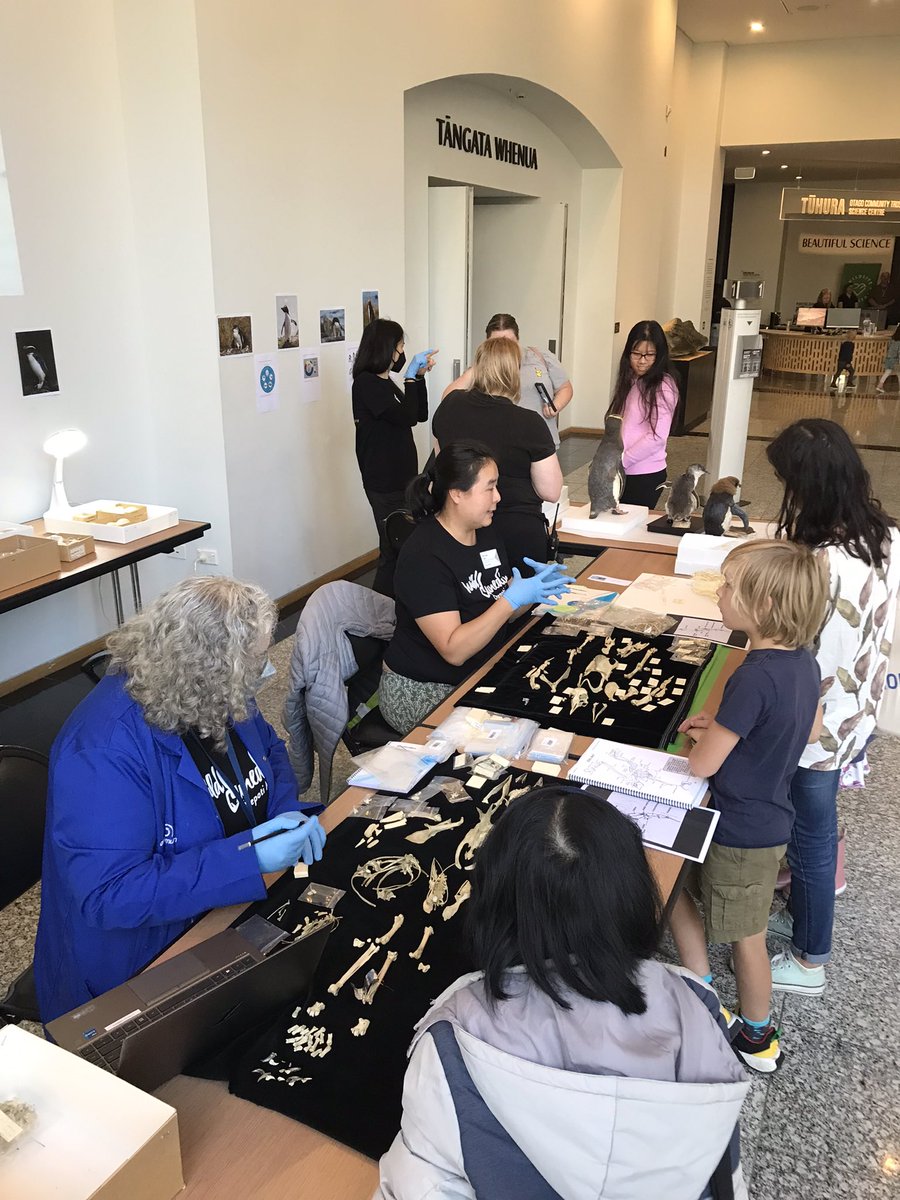 Emma Burns (@burnsbyproxy) on Twitter photo Piecing together our precious penguins in full swing for Penguin Day for <a href="/WildDunedin/">Wild Dunedin</a> at Tūhura <a href="/OtagoMuseum/">Tūhura Otago Museum</a> Piecing together our precious penguins in full swing for Penguin Day for <a href="/WildDunedin/">Wild Dunedin</a> at Tūhura <a href="/OtagoMuseum/">Tūhura Otago Museum</a>