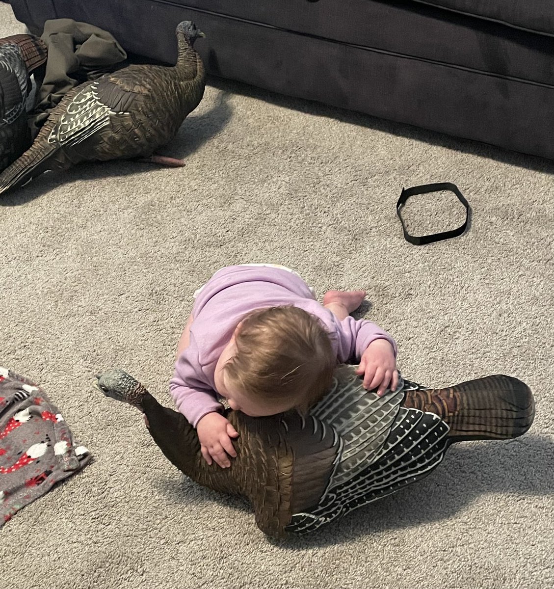 MrZGriffin4's tweet photo. Safe to say #MairynEldaMay is ready for Turkey season and she definitely approved of the new ⁦@ZinkCallsAvianX⁩ lay down hen! 🥰🤘🏼 #weready #6days https://t.co/RAg7BG3azu