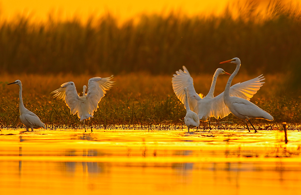 Fly Fishing Florida Everglades 
saltwateronthefly.com/fly-fishing-fl… 
:
#flyfishing #florida #flyfishingflorida #evergladesnationalpark #flyfishingeverglades #tarponfishing #bonefish #snookfishing #permitfishing #saltwaterflyfishing #saltwateronthefly #onthefly #flytying 
@Saltwateronfly